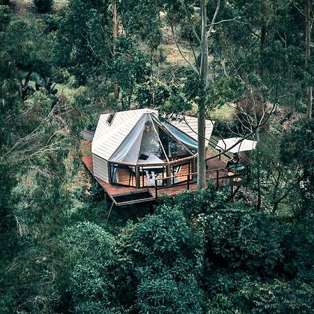 Glamping Lumbre Villa Salento Eksteriør bilde