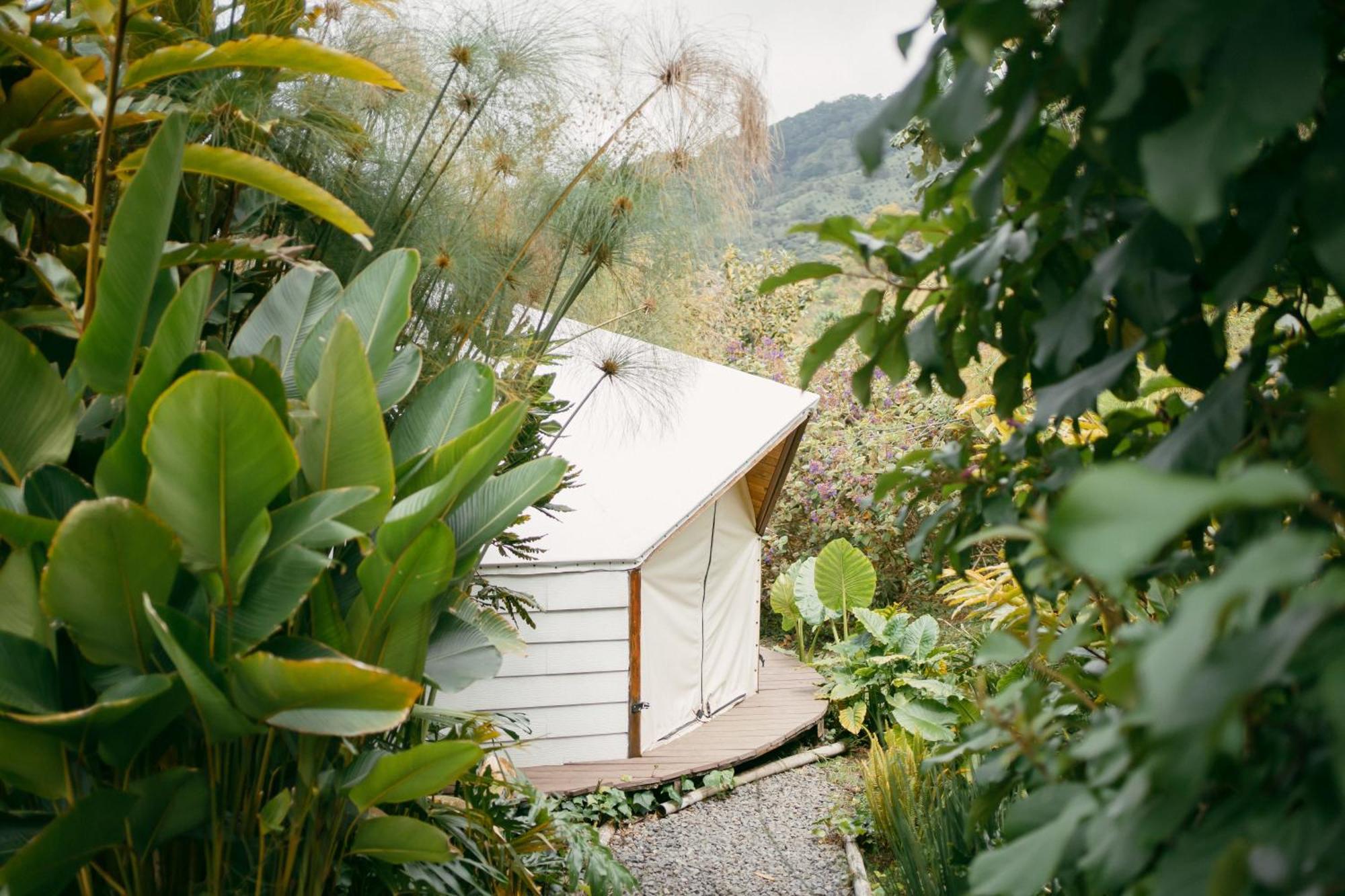 Glamping Lumbre Villa Salento Eksteriør bilde